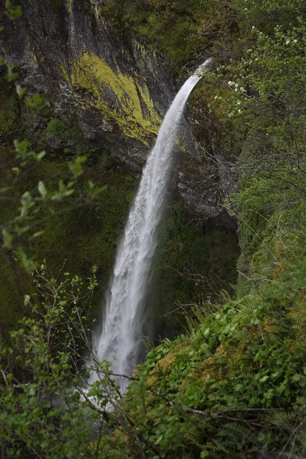 Elowah Falls photograph