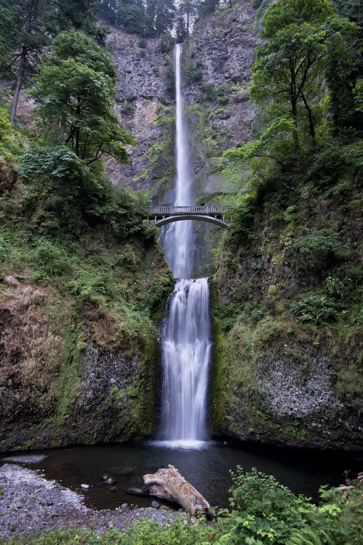 Multnomah Falls — the icon of the Columbia River Gorge, 541 feet over two tiers with Benson Bridge spanning between them