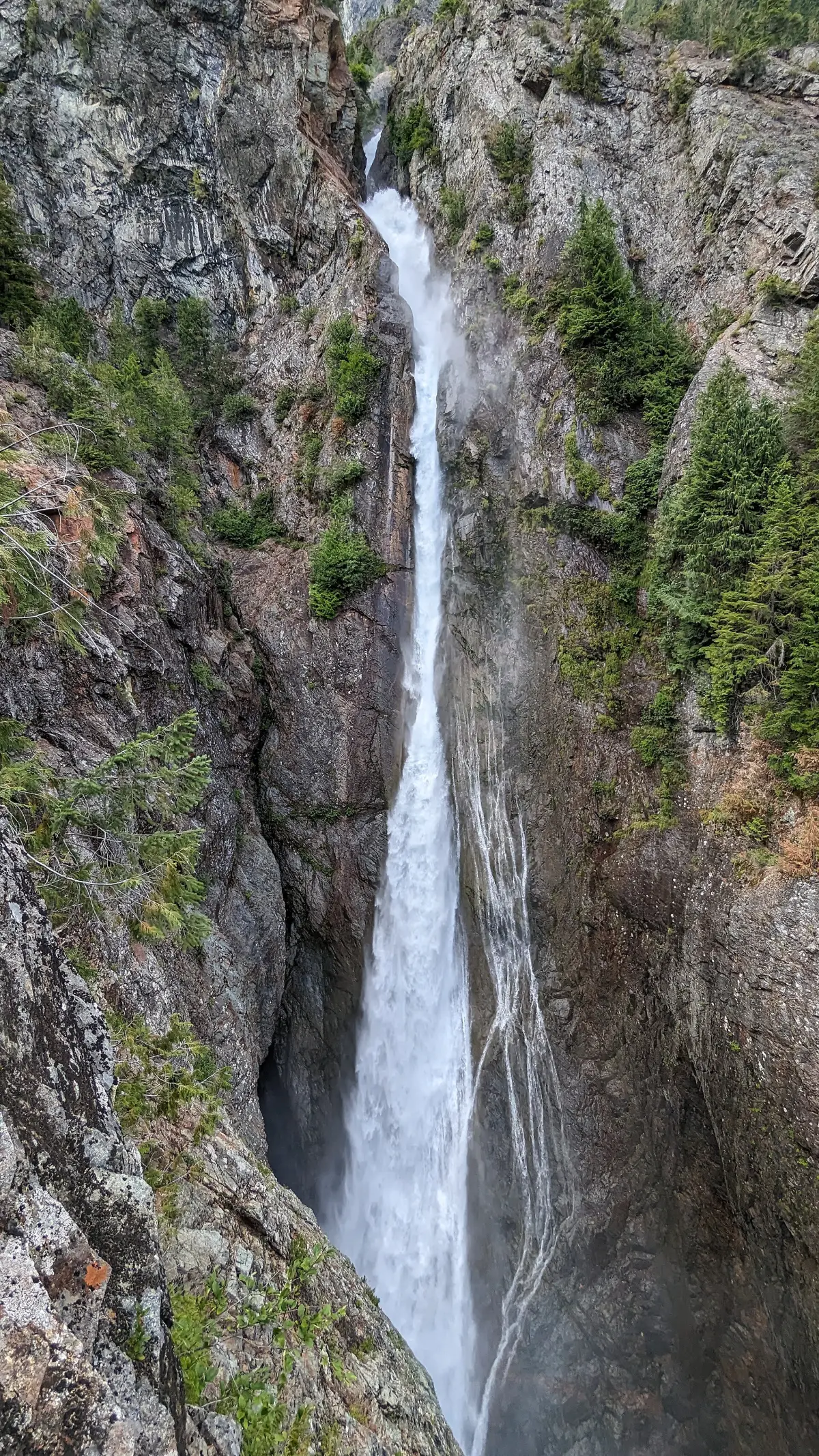 Sulphide Creek Falls, a tall horsetail waterfall plunging from Mount Shuksan in North Cascades National Park