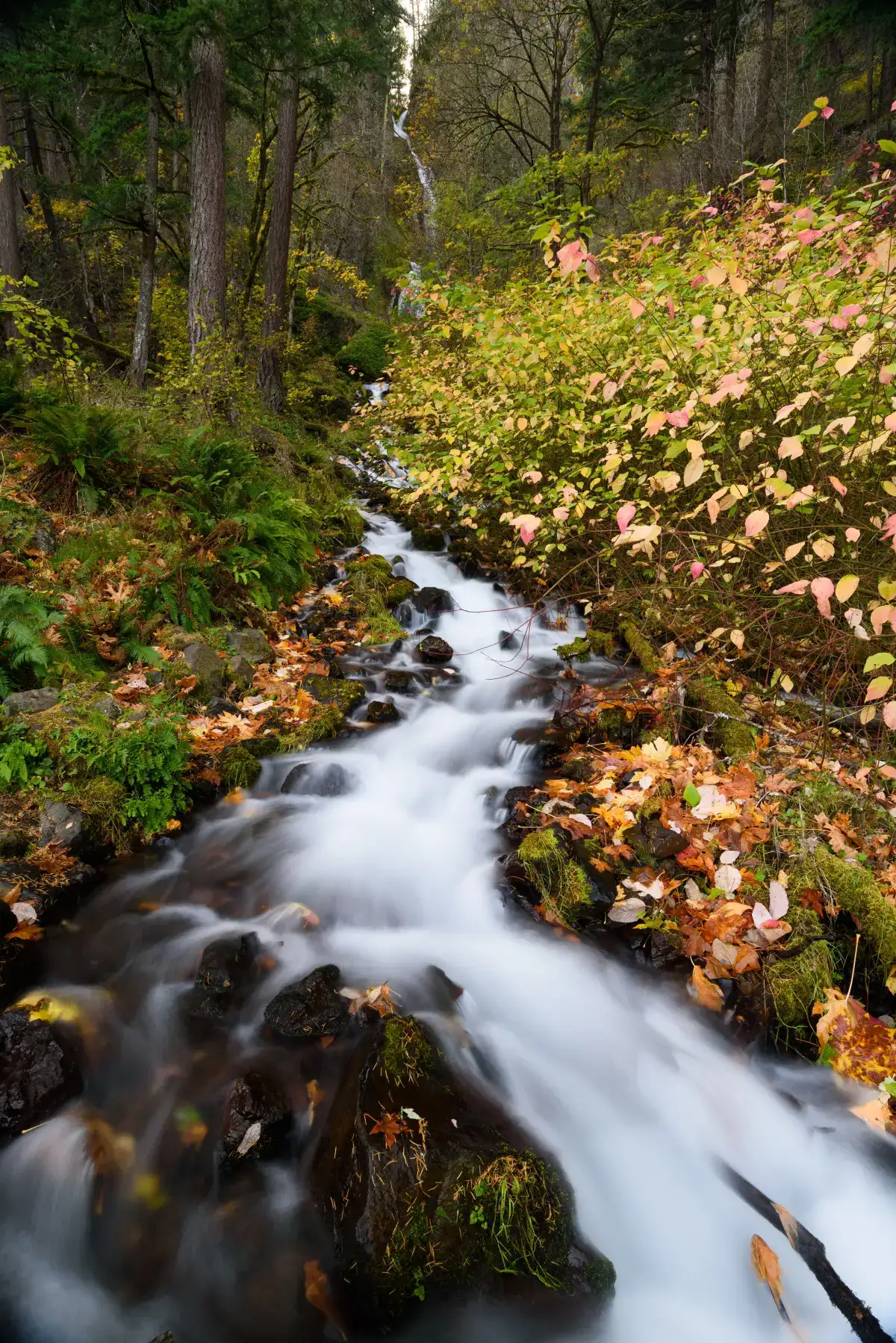 Wahkeena Falls photograph